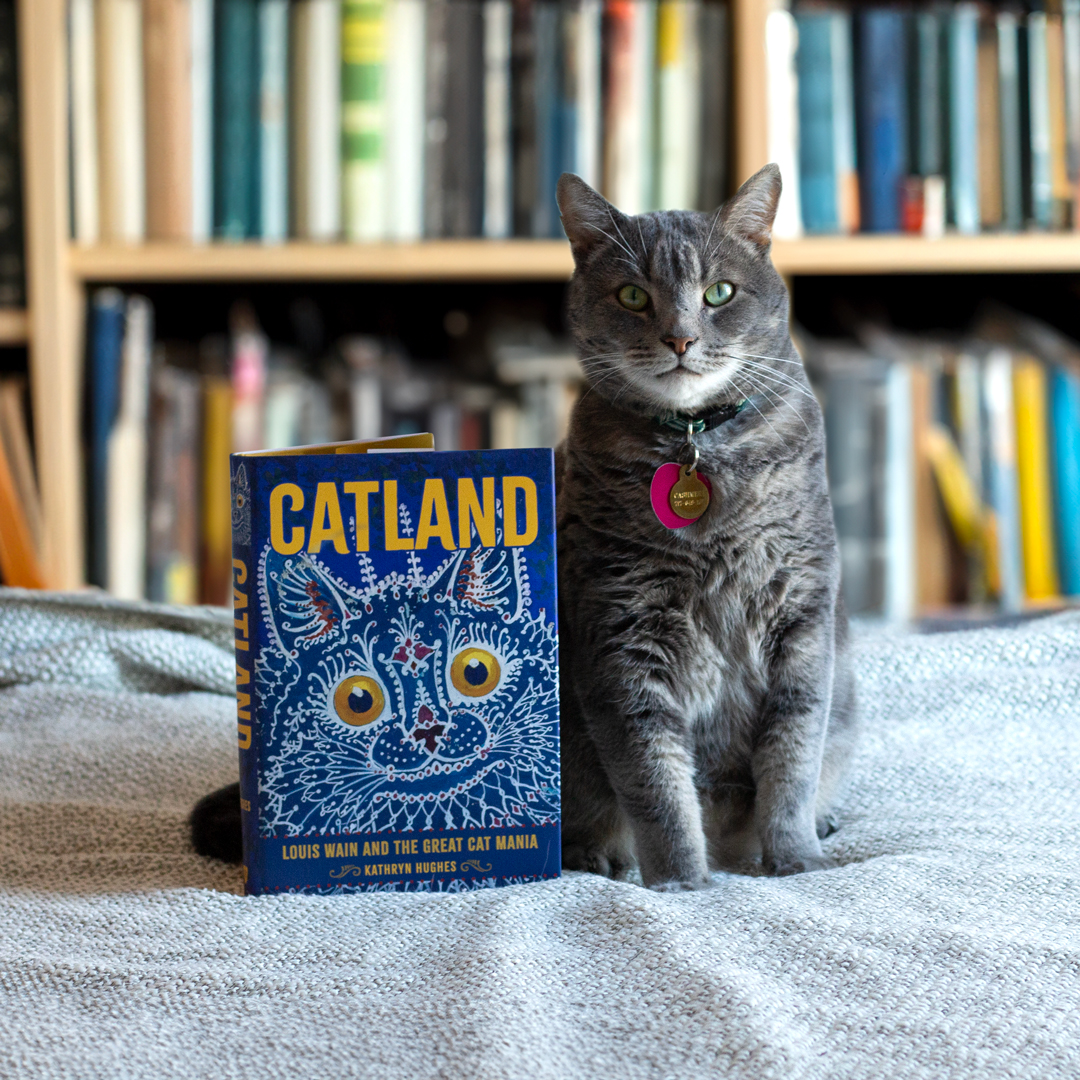 A gray cat posing next to the book Catland