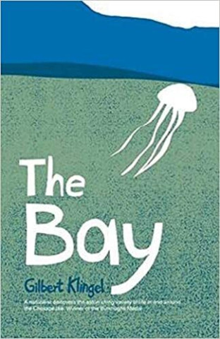 Cover image of The Bay