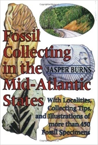 Cover image of Fossil Collecting in the Mid-Atlantic States