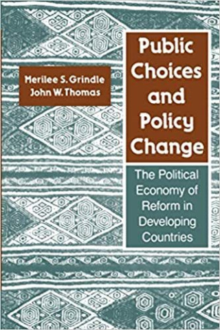 Cover image of Public Choices and Policy Change