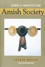 Cover image of Amish Society