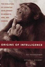 Anderson's theory of on sale intelligence and cognitive development