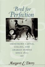 Cover image of Bred for Perfection