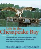 Cover image of Life in the Chesapeake Bay