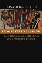 Cover image of From Slave to Pharaoh