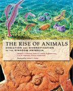 Cover image of The Rise of Animals