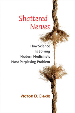 Cover image of Shattered Nerves