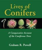 Cover image of Lives of Conifers