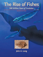 Cover image of The Rise of Fishes