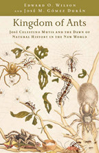 Cover image of Kingdom of Ants