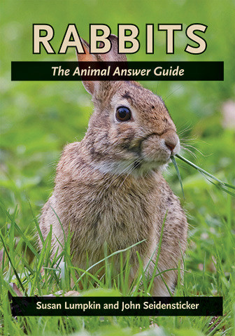 Cover image of Rabbits