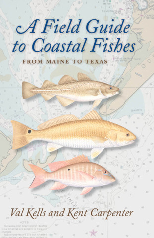 Field Guide to Fishes of the Chesapeake Bay