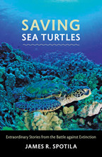 Sea Turtles: A Complete Guide to Their Biology, Behavior, and Conservation