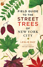 Cover image of Field Guide to the Street Trees of New York City