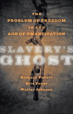 Cover image of Slavery's Ghost