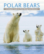 Cover image of Polar Bears