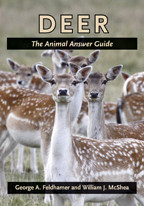 Cover image of Deer