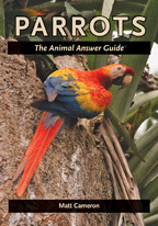 Cover image of Parrots