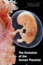 Cover image of The Evolution of the Human Placenta