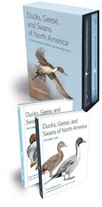 Cover image of Ducks, Geese, and Swans of North America