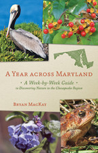 Cover image of A Year across Maryland