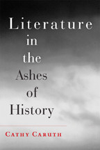 Cover image of Literature in the Ashes of History