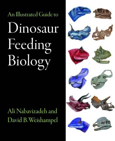 Cover image of An Illustrated Guide to Dinosaur Feeding Biology