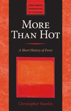 Cover image of More Than Hot