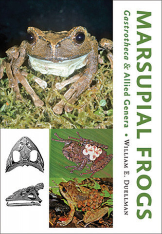 Cover image of Marsupial Frogs