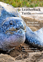 Sea Turtles: A Complete Guide to Their Biology, Behavior, and Conservation