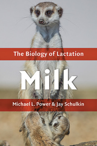 Cover image of Milk