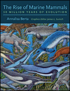 Cover image of The Rise of Marine Mammals