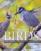 Cover image of Birds of Maryland, Delaware, and the District of Columbia