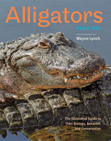 Cover image of Alligators