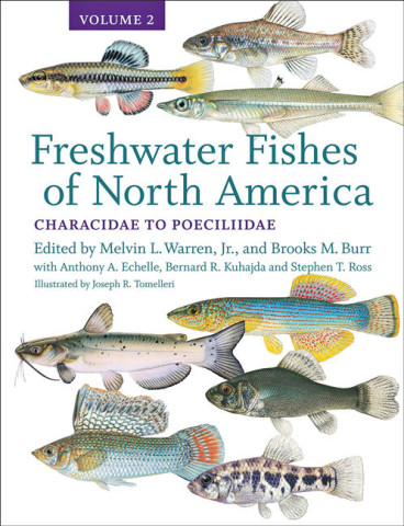 types of freshwater fish