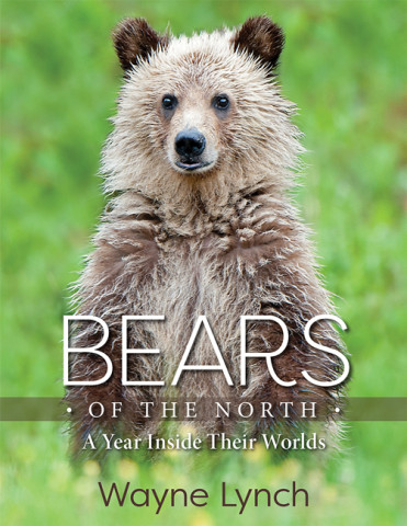 Cover image of Bears of the North