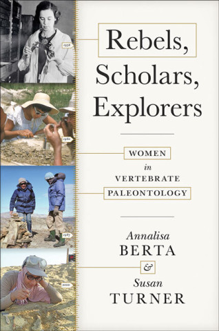 Cover image of Rebels, Scholars, Explorers