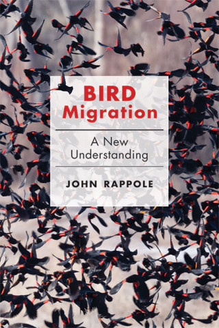 Cover image of Bird Migration