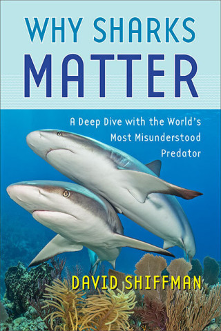 Cover image of Why Sharks Matter