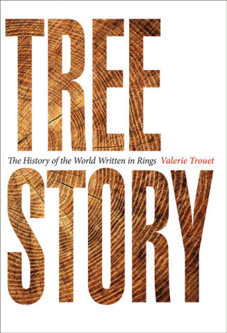 Cover image of Tree Story