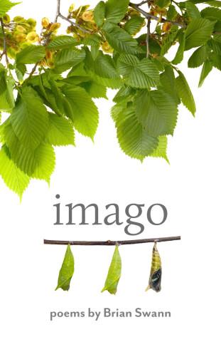 Cover image of Imago