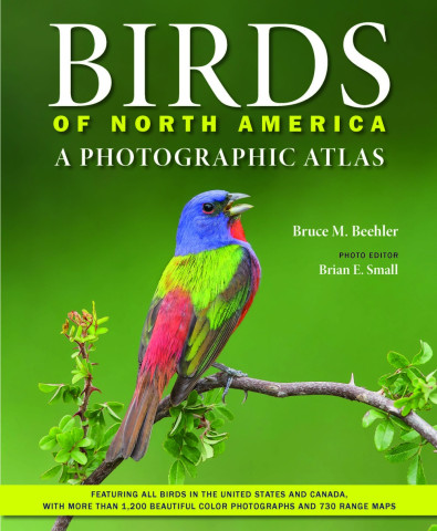 Cover image of Birds of North America