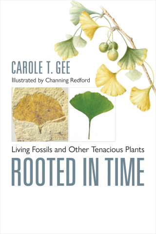 Cover image of Rooted in Time