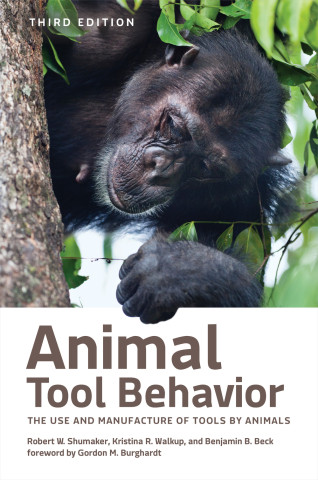 Cover image of Animal Tool Behavior