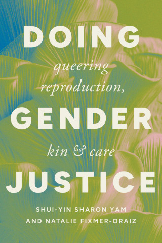 Cover image of Doing Gender Justice