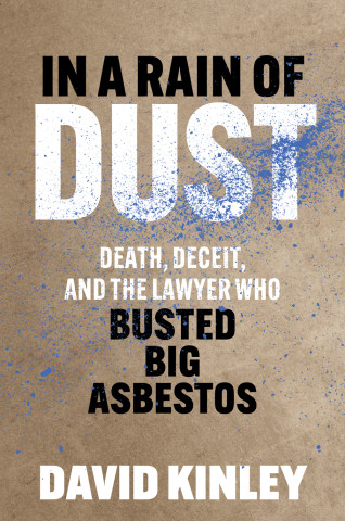 Cover image of In a Rain of Dust