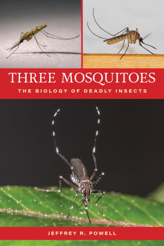 Cover image of Three Mosquitoes