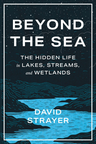 Cover of Beyond the Sea