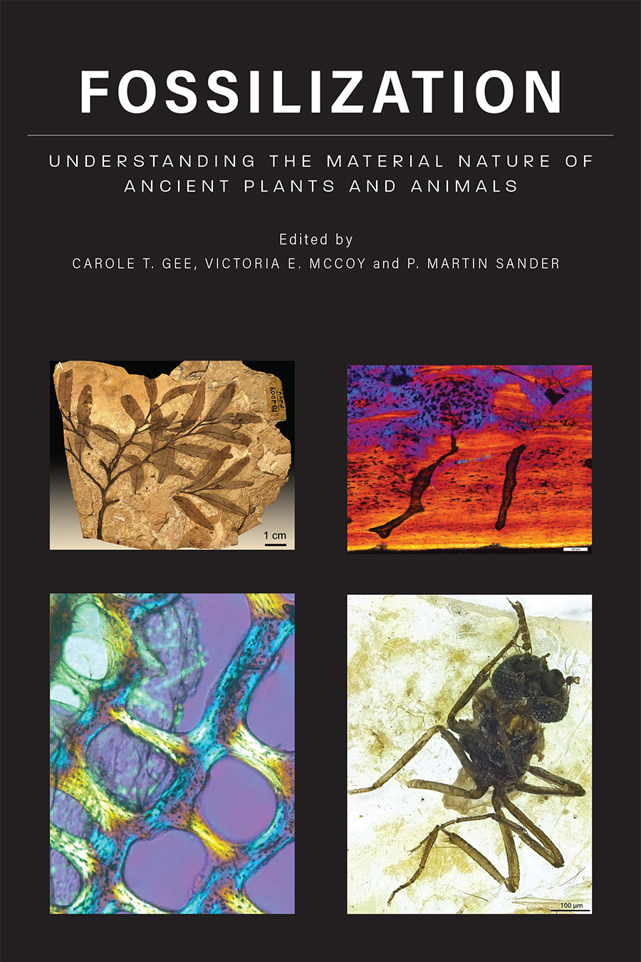 The Glorious Colorful World Of Fossils Hopkins Press   Gee 