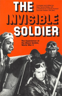 Cover image of The Invisible Soldier